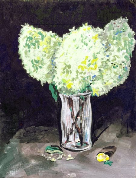 Green hydrangeas in clear vase