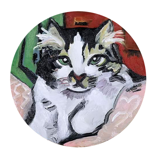 Black and white kitten on pink pillow