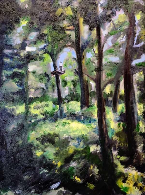 Green forest with two teenagers on a platform high in the trees